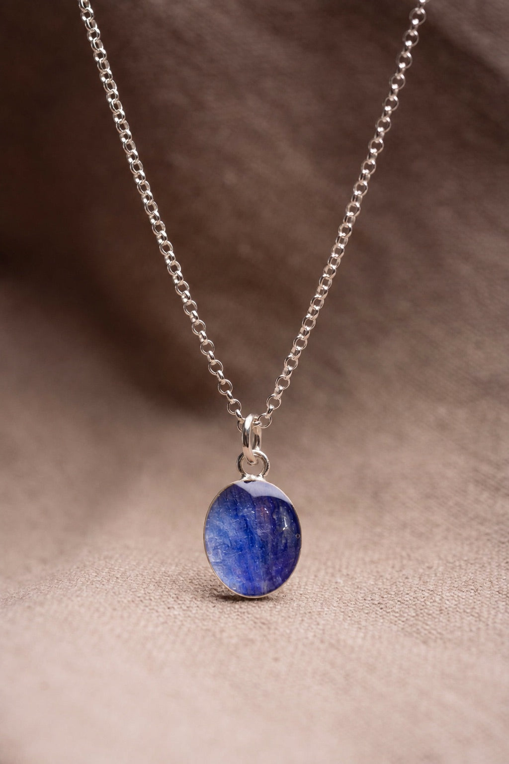 Larkspur Oval Necklace Silver