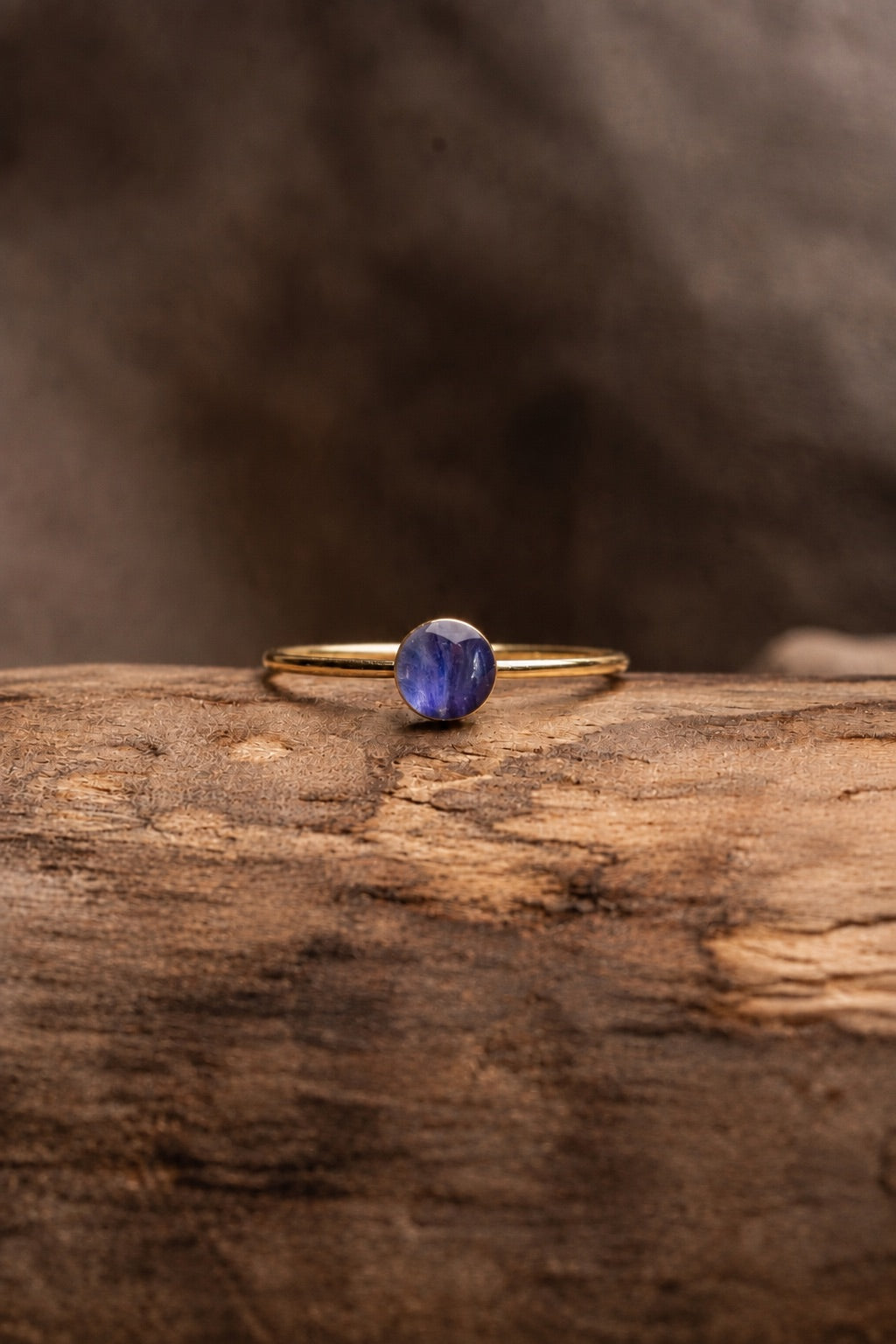 Larkspur Round Stacking Ring Gold