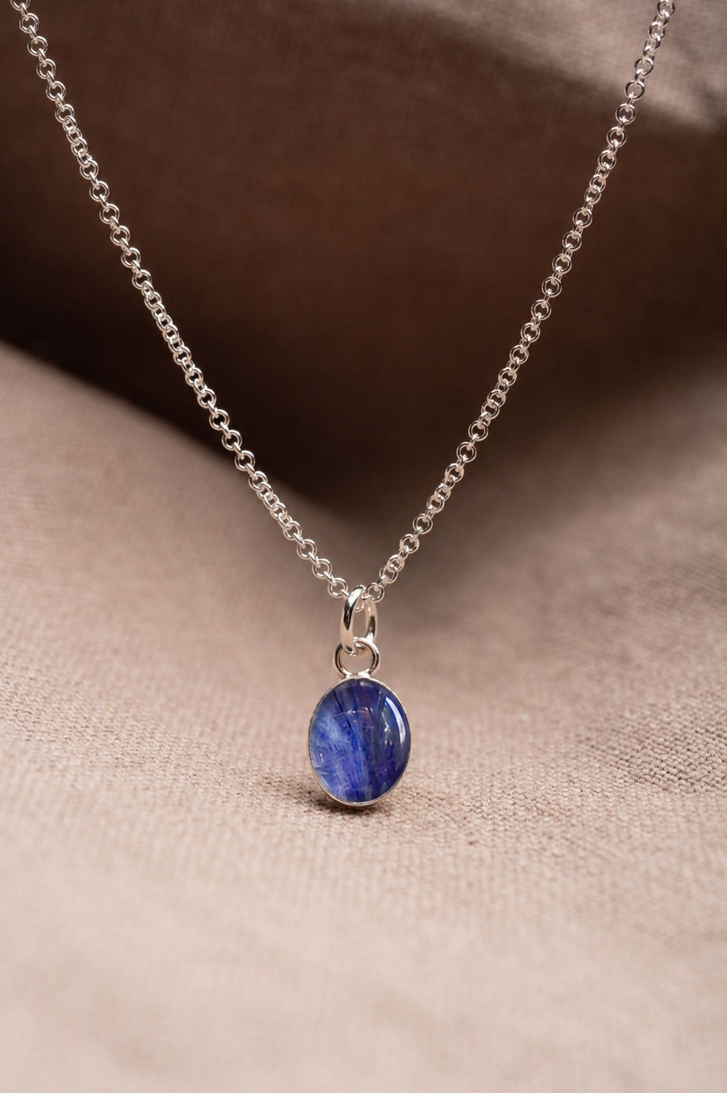 Larkspur Oval Necklace Silver