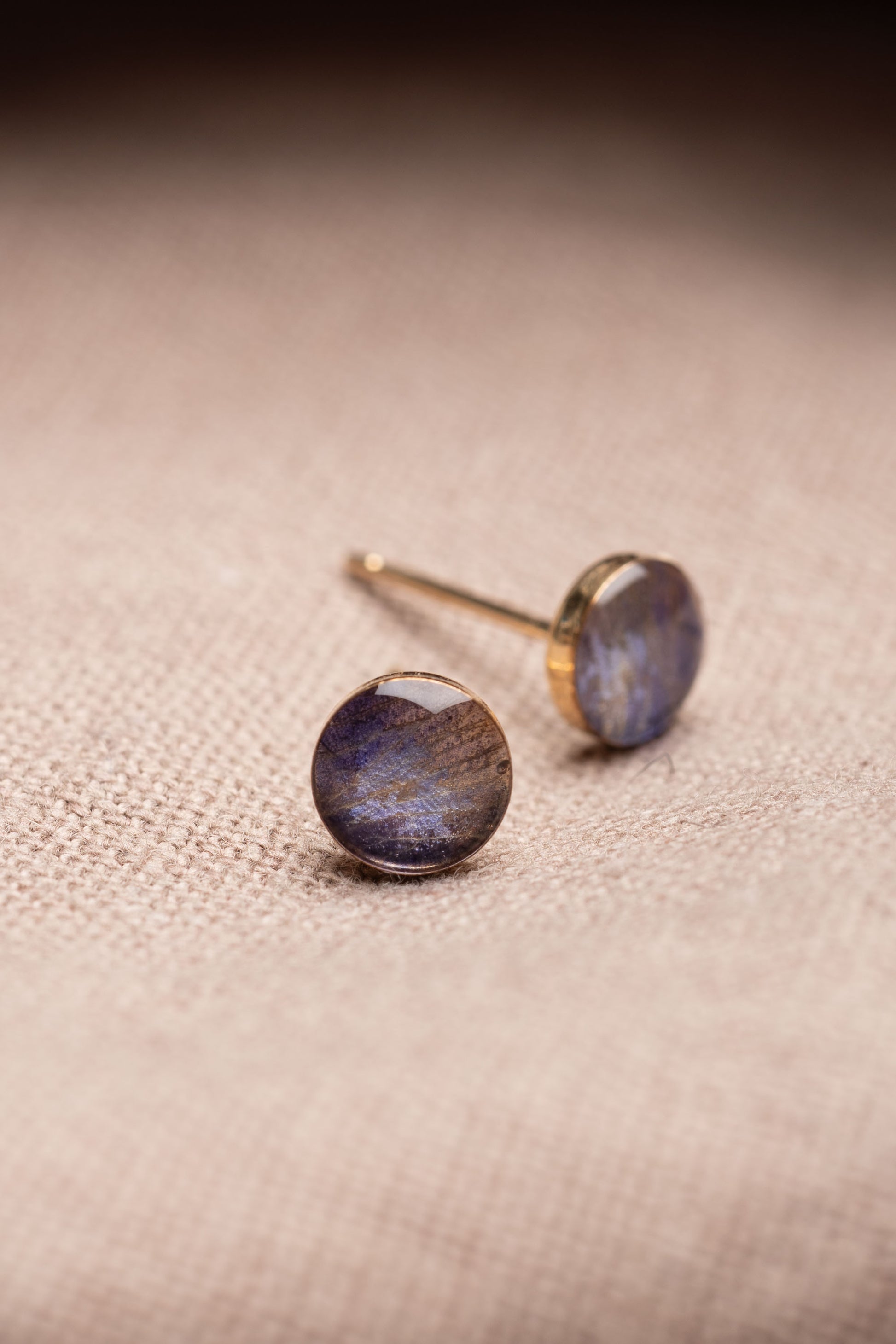 Larkspur Stud Earrings Gold